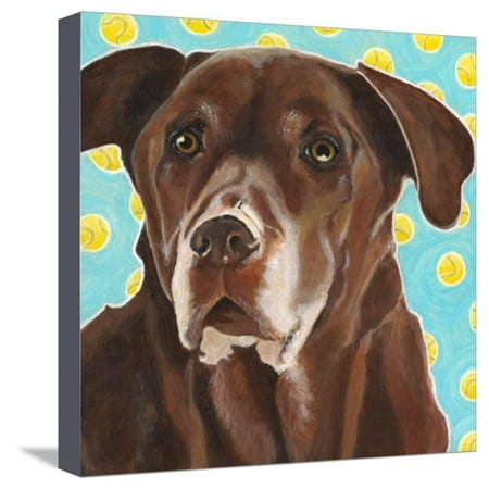 Dlynn's Dogs - Get Your Ball Stretched Canvas Print Wall Art By Dlynn (Best Way To Stretch Your Balls)