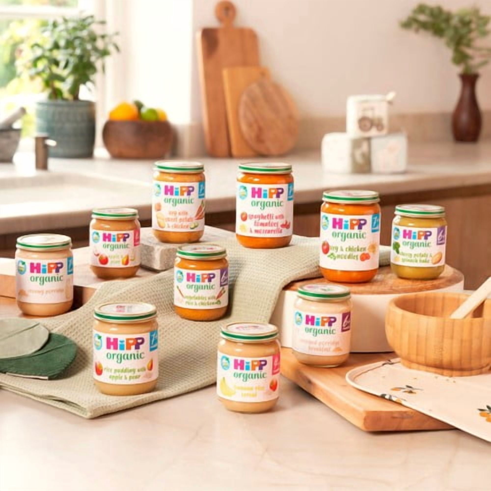 HiPP Organic Vegetables with Rice & Chicken Baby Food Jar 6+months 125g, British Import (Pack of 2)