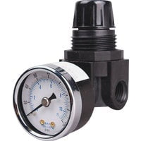 Tru-Flate Plastic/Steel Mini Regulator with Gauge 1/4 in. NPT 250 psi 1 pc