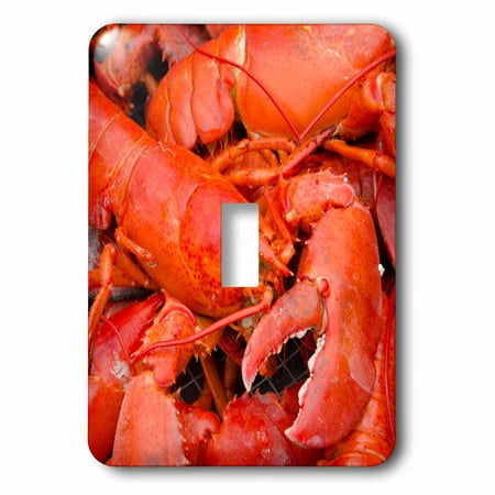 3dRose Massachusetts, Marthas Vineyard. Traditional New England lobster bake., 2 Plug Outlet
