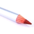thumbnail image 1 of Pure Ziva Delineador de ojos de madera metálica de cobre rojo dorado bruñido Delineador de ojos profesional HD A prueba de manchas Larga duración Altamente pigmentado Sin pruebas en animales ni crueld, 1 of 5