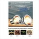 thumbnail image 4 of 5 Bombillas de Luz Ultravioleta de Espectro Completo para Calefacción de Reptiles, UVA+UVB, para Serpientes, Tortugas y Mascotas, 75 W, 4 of 7