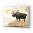 thumbnail image 2 of Epic Art 'Northern Wild Moose' by James Wiens, Acrylic Glass Wall Art, 16"x12", 2 of 8