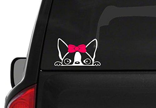 Bow Ties Are Cool car bumper sticker decal 6" x 3" 