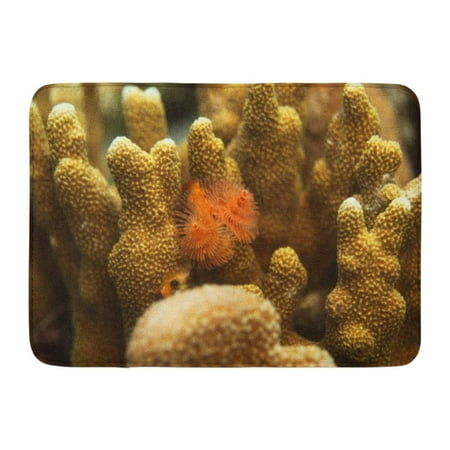 GODPOK Underwater World Detail Christmas Tree Worm Filtrating Food on Bright Hard Coral in Reef with Natural Rug Doormat Bath Mat 23.6x15.7