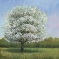 thumbnail image 2 of OToole, Tim 20x20 White Modern Wood Framed Museum Art Print Titled - Spring Blossom Tree I, 2 of 4