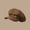 Brown, variant on Women's Newsboy Cap Faux Leather Brim Baker Boy Hat Casual Flat Cap