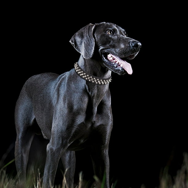 Collares de perro punk con remaches ajustables, correa para el cuello con púas para cachorros, producto para mascotas (negro S) Ndcxsfigh Para estrenar