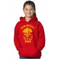 thumbnail image 3 of New Mexico Trinity Desert Landmark Youth Hoodie Boy Girl Teen Brisco Brands M, 3 of 5