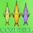thumbnail image 3 of CafePress - Cozumel 3 Fishes Light T Shirt - Light T-Shirt - CP, 3 of 4
