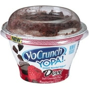 Yopa Non Fat Raspberry Dove Dark Chocolate Pieces