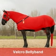 thumbnail image 4 of Resistance Horse Full Body Slinky with Full Zipper Face – Lycra Material – Available in 11 Colors – All Season, 4 of 7