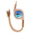 thumbnail image 1 of Ocean Beach Verde palmera Cable de carga telescópico múltiples USB tres en uno, 1 of 3