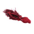 thumbnail image 1 of PENGXIANG Christmas Tree Bird Decor Artificial Birds Garden Adornment  Pendant Simulation Birds Photo Prop 1 Pack, 1 of 16