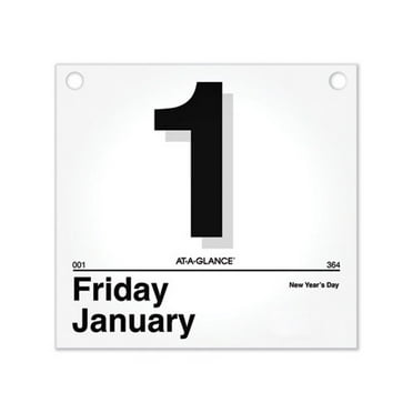 AT-A-GLANCE 2024 Daily Wall Calendar Refill, Large 8.5 x 8, for Today ...