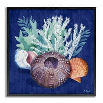 Stupell Industries Urchin Sea Life Coastal Painting Gray Framed Art Print Wall Art, 12 x 12