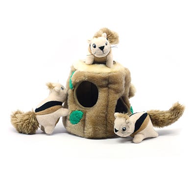 petsmart squirrel dog toy