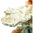 thumbnail image 6 of Aquarium Coral Reef Ornament, Resin Coral Reef for Theme Decoration Fish Tank Aquarium Landscape, 6 of 6