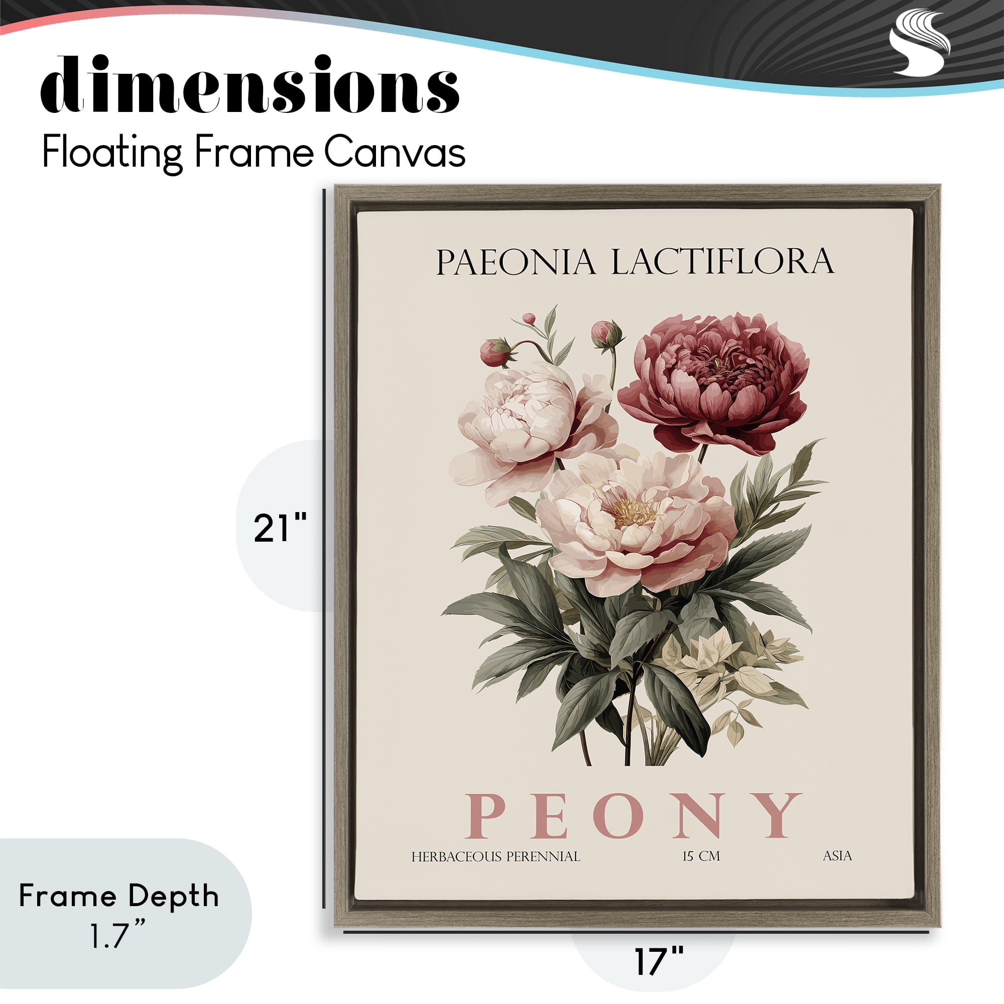 Stupell Industries Natural Peony Bundle Brown Framed Floater Canvas Wall Art, design by Christopher Giampietro