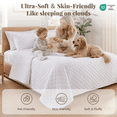 thumbnail image 5 of BDEUS Full/Queen Quilt Set, Soft Bed Summer Lightweight Bedspread Coverlet,3 Pieces Cloud Quilt Stitching for All Season, White, 5 of 11