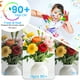 thumbnail image 4 of Bombillas LED Brightever de 7 W, 850 lúmenes, vintage, E26, 5000 K, paquete de 6, 4 of 7