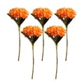 thumbnail image 1 of maskred 5pcs For DIY Durable - Artificial Flower Set For Craft Enthusiasts Non-toxic Realistic Appearance Pets Friendly Light Orange, 1 of 6