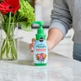 thumbnail image 4 of Miracle-Gro for Fresh Cut Flowers, 8 oz, 4 of 10