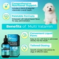 thumbnail image 4 of Multi Vitamin Supplement for Dogs Daily Health Support and Immune Boost, 4 of 6