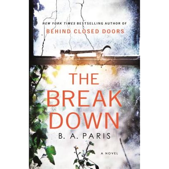 The Breakdown (Paperback 9781250153029) by B A Paris