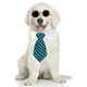 thumbnail image 1 of Corbata para mascotas, pajarita para perro, corbata a rayas para perro, bufanda para mascota, escote falso, toalla de agua 1516, 1 of 5