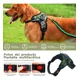 thumbnail image 4 of Arnés Pechera Con Correa Para Perro Razas Mediano Grande, 4 of 8