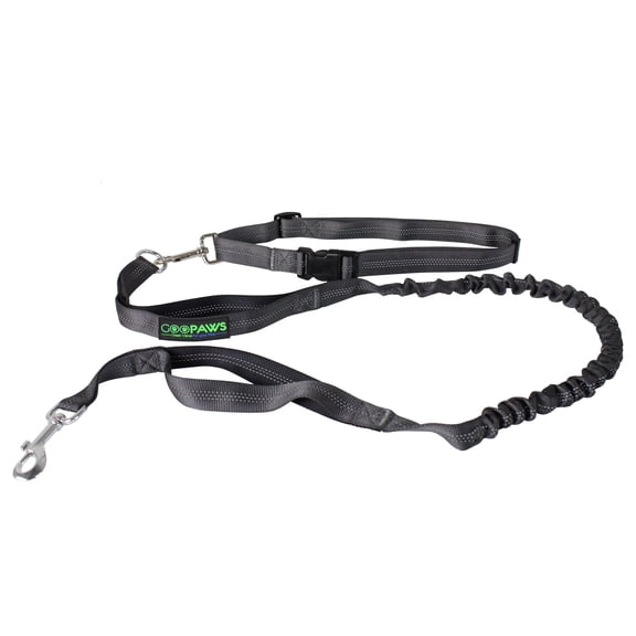 GOOPAWS Bungee Reflective Standard Dog Leash, Black