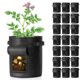 thumbnail image 1 of LAGarden 22 Pack 7 Gallon Potato Planting Bag Observation Harvest Window Home LAGarden Modern, 1 of 11