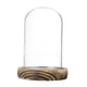 thumbnail image 1 of Uxcell Cúpula de Vidrio Cloche, 3.9"x2.4" Vitrina de Vidrio con Base de Madera para DIY Globos de Nieve/Pequeñas Plantas/Flores/Velas/Modelos/Souvenirs, Centro de Mesa [Quemado], 1 of 1