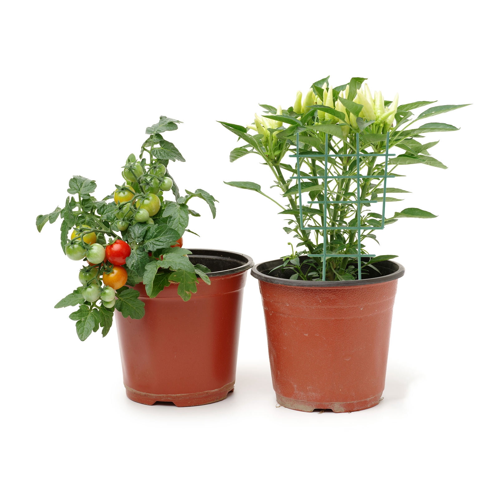 GOOHOCHY 20- Plant Support Frames for Houseplants and Flower Pots, Garden Plant Stakes