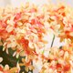 thumbnail image 5 of Ramo de flores de simulación de flores de hortensias artificiales para decoración del hogar (naranja), 5 of 5