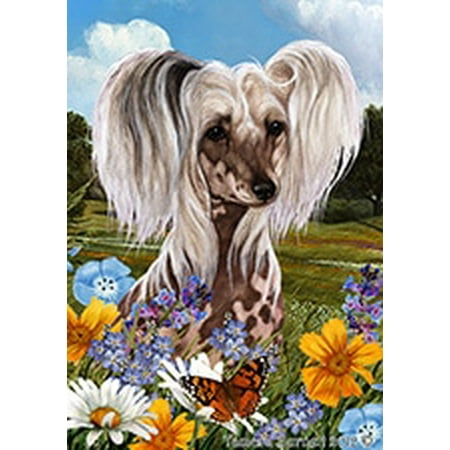 Chinese Crested - Best of Breed  Summer Flowers Garden