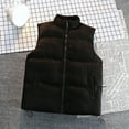 thumbnail image 2 of Fesfesfes Plus Size Warm Vest For Women Suede Sleeveless And Hooded Casual Jacket Fall Saving, 2 of 9