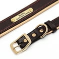 thumbnail image 5 of Didog Personalized Genuine Leather Padded Dog Collars Engraved Nameplate with D ring, 5 of 9