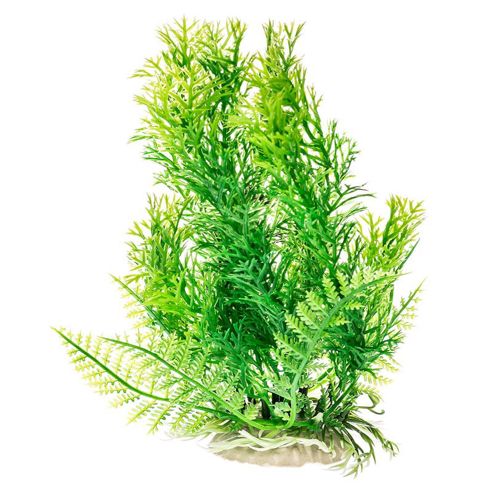 AQUATOP 20 Inch Cabomba-Like Aquarium Plant with Weighted Base PD-BH05