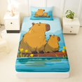 thumbnail image 3 of Manfei Cartoon Capybara Twin Sheets,Natural Scenic Pattern Bedding,Blue,3-Piece,1 Fitted Sheet and 1 Pillowcase, 3 of 6