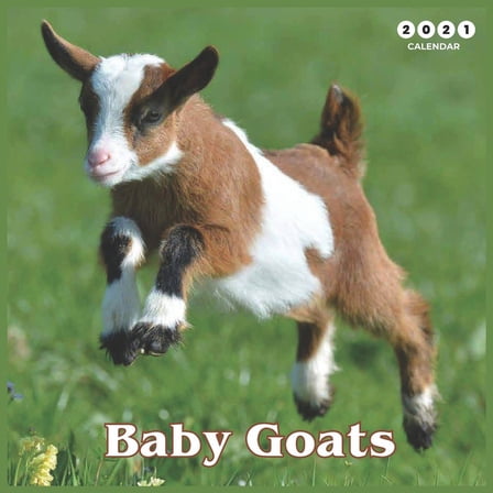 Baby Goats 2021 calendar : Beautiful Baby Goats - 2021 Calendar 8.5" x 8.5" - glossy finish (Paperback)