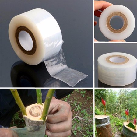 Transpa Nursery Grafting Tape Self Adhesive For Garden Tree Transpa Nursery Grafting Tape Self Adhesive For Garden Tree Seedling 2cm X 80m