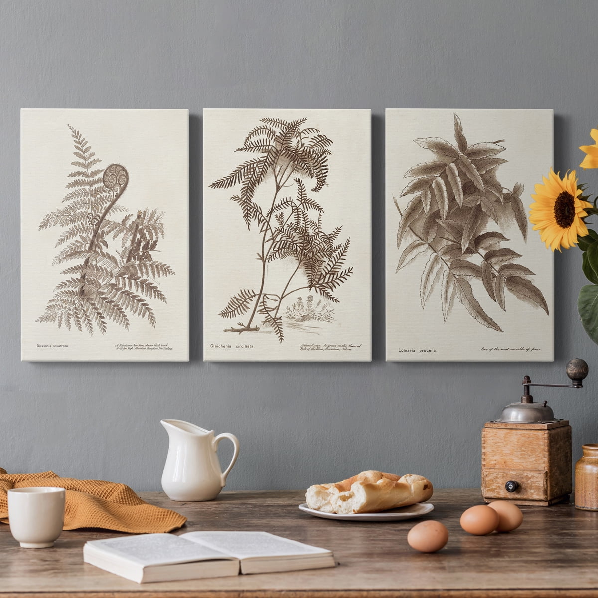Sepia Fern Varieties I Premium Gallery Wrapped Canvas - Ready to Hang - 24 x 36 Each