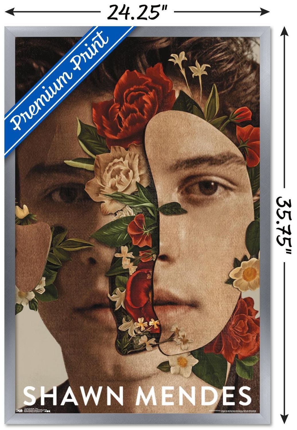 Shawn Mendes - Floral Wall Poster, 22.375" x 34"