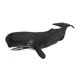 thumbnail image 3 of Figuras Ballenas Marinas Modelo Ballena Seguridad Portátil para (cachalote), 3 of 6