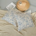 thumbnail image 5 of Baby Blue Floral Pillow Covers 20x20 Set of 2 Vintage Rustic Toile Chinoiserie Floral Throw Pillows Blue and Cream Flower Decorative Pillowcase Outdoor Decor Linen Cushion Case for Couch Sofa, 5 of 7