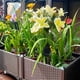 thumbnail image 5 of Outdoor Courtyard Garden Decoration Plug-in Light LED Simulation Flower Lamp New 7-head Solar Flower Lamp, 5 of 6
