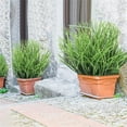 thumbnail image 6 of PPKVUFD 3 Bundles Artificial Wheat Grass Fake Plants, Outdoor UV Resistant Faux Shrubs Bushes Plant Green Onion Grass Artificial Greenery Tall Stems for Indoor Outdoor Office Home Decor, 6 of 6