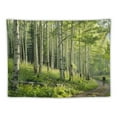 thumbnail image 5 of PIKWEEK  Forest Wall Tapestry Nature Tree Trail Path Landscape Wall Hanging, Morning Sunshine Through Green Tree Wall Tapestries for Home Office Indoor and Outdoor Decor Painting, 5 of 6